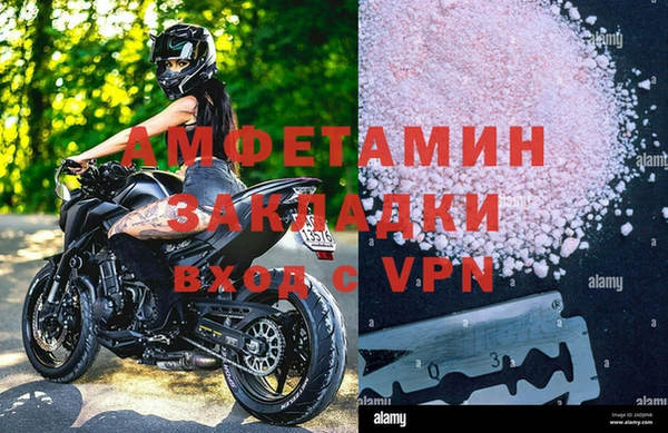 прущие грибы Саяногорск