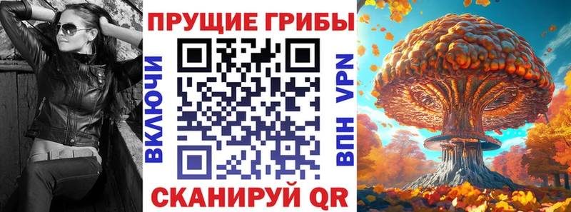 Галлюциногенные грибы Psilocybe  Нея 